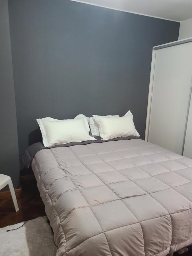 Apartamento Departamento Centrico, Pasos Peatonal Mendoza Exterior foto